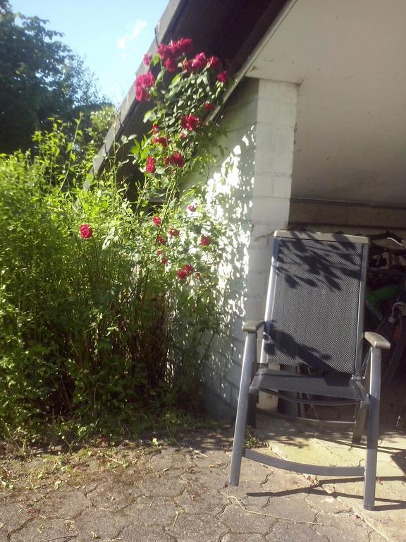 Ferienwohnung Dähne Allagen Exterior foto